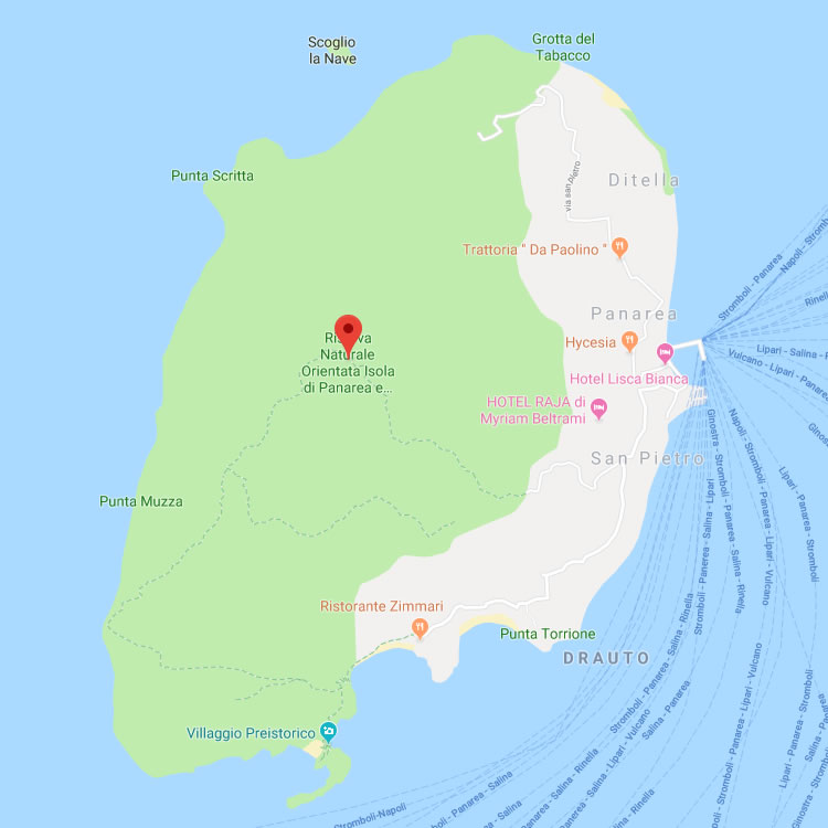home-1